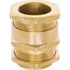 CMP BRASS CABLE GLAND  1