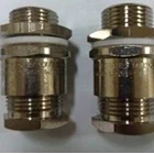 CABLE GLAND STAINLESS STEEL  1